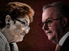 Pauline Hanson has accused the Albanese government of lying about skilled migrant figures.