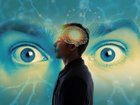 One of the main jobs of orexons is to regulate wakefulness.