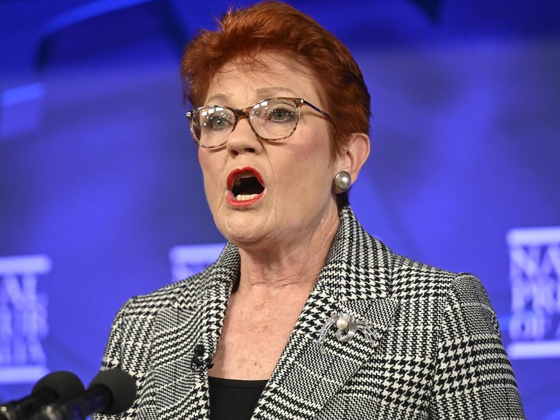 Pauline Hanson had earlier announced a different excise cut in June. Picture: NewsWire / Martin Ollman