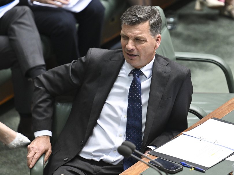 CANBERRA, AUSTRALIA,NewsWire Photos. August 18, 2026: Leader of the Opposition Angus Taylor during Question Time at Parliament House in Canberra. Picture: NewsWire / Martin Ollman