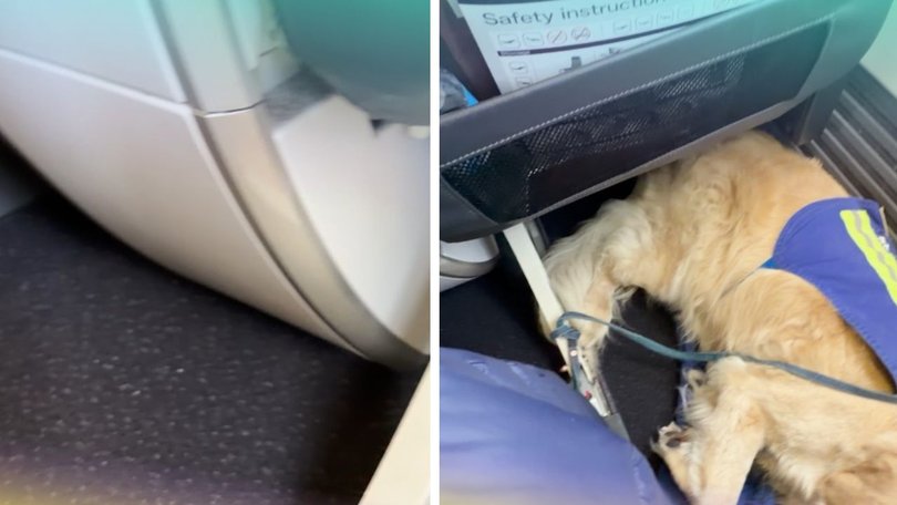 Hryhorec said there was no room in his footrest or next to his dog.