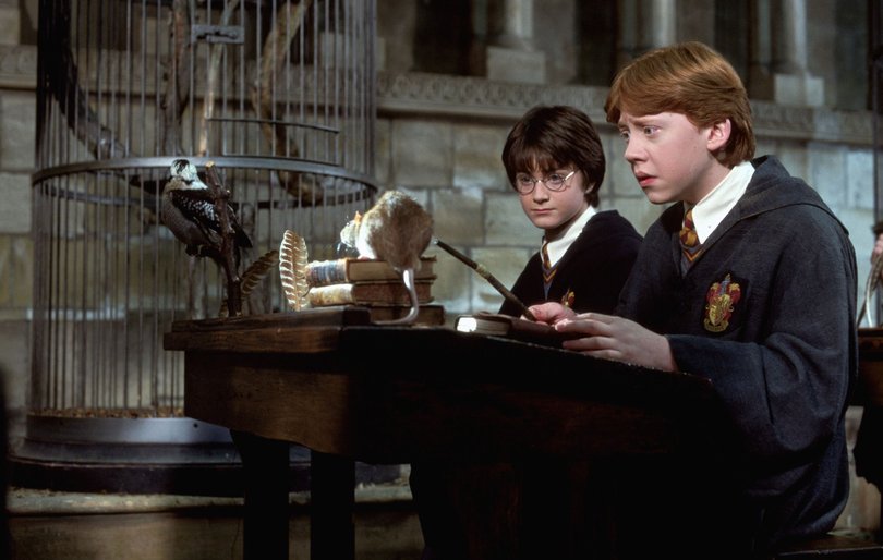 Daniel Radcliffe with Rupert Grint in Harry Potter and the Chamber of Secrets.