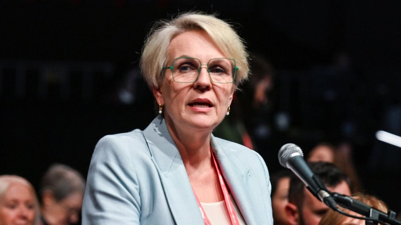 Social Services Minister Tanya Plibersek.