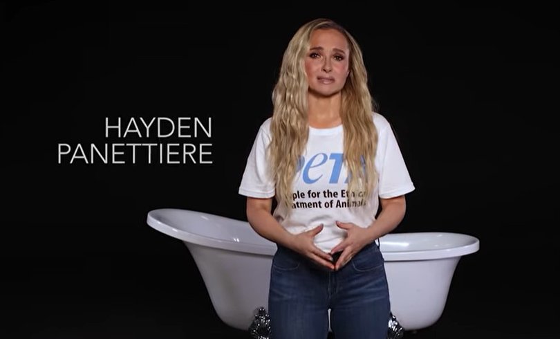 Hayden Panettiere was an ambassador for PETA.