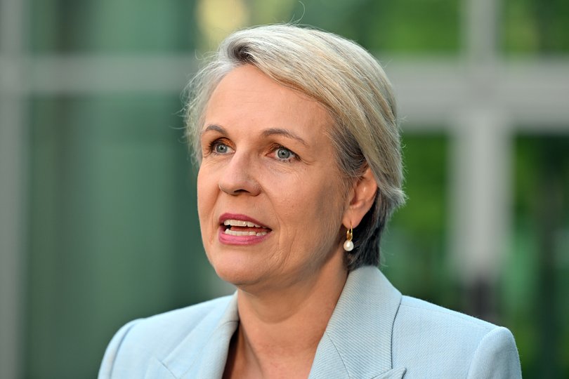 Minister for Social Services Tanya Plibersek said cost-of-living relief will begin to flow to more than five million Australians from September 20.
