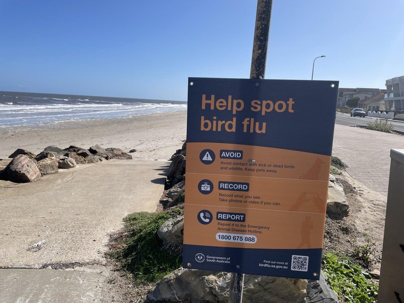 South Australian Government ‘Help Spot Bird Flu’ signs have been erected along Adelaide’s metropolitan beaches. Picture: NewsWire