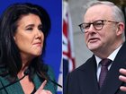 The Liberals have launched a brutal attack on Anthony Albanese after the PM finally conceded his infamous podcast appearance was a mistake.