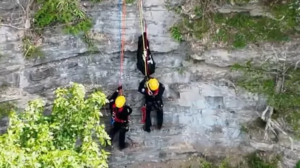 Tennessee fire crew rescue five-year-old dog Carl from cliff after 17 hour ordeal Tennessee fire crew rescue five-year-old dog Carl from cliff after 17 hour ordeal