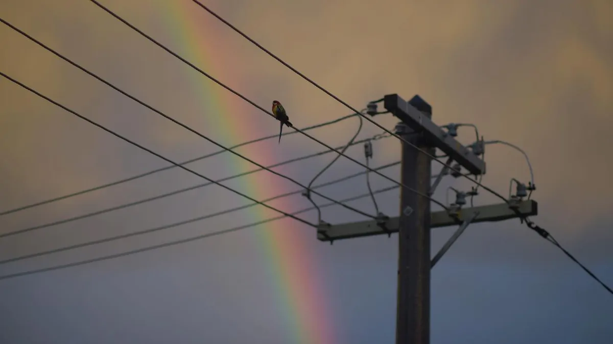 Australia energy bills: AER urged to slash network charges and put $1 billion back in consumers’ pockets