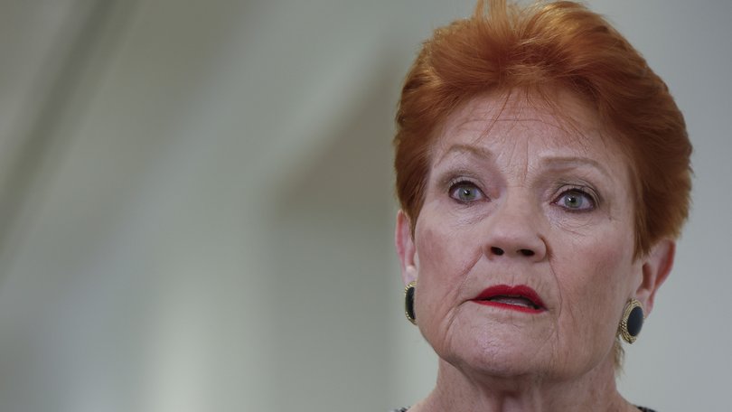 Leader of One Nation Pauline Hanson says net overseas migration should be capped at 130,000.