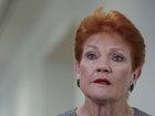 Leader of One Nation Pauline Hanson says net overseas migration should be capped at 130,000.