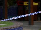 Oliver Hamilton was fatally stabbed by another teen at a shopping centre, jurors were told. 