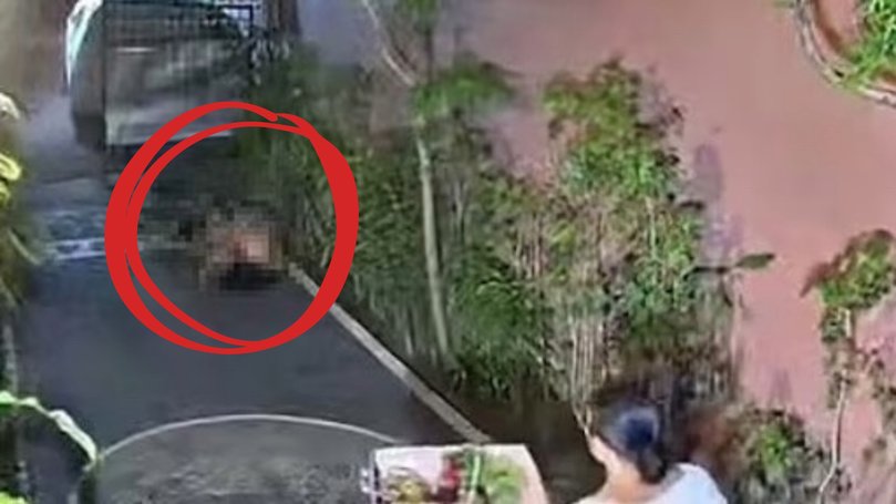CCTV on the street caught the moment the homeowner confronted the frisky pair. 