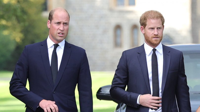 Prince Harry and Prince William