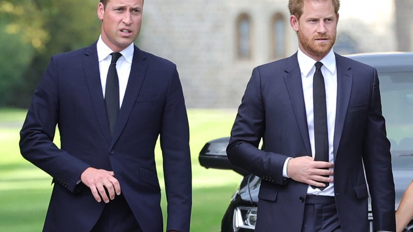 Prince Harry and Prince William
