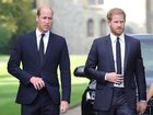 Prince Harry and Prince William