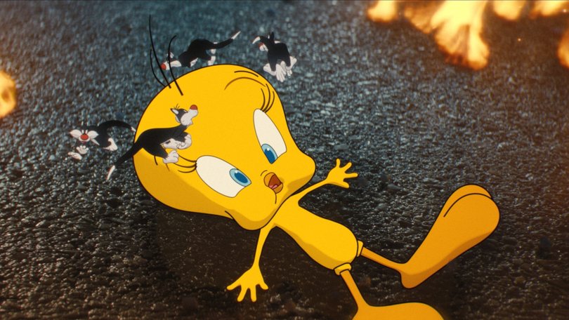 Tweety and many Sylvesters.