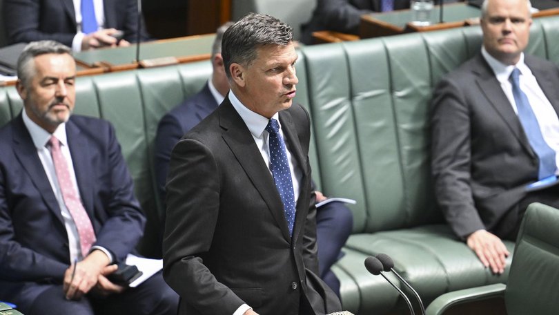 Opposition Leader Angus Taylor during Question Time at Parliament House in Canberra. Picture: NewsWire / Martin Ollman