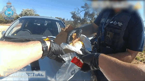 Police allegedly found meth in a man’s McMuffin during a traffic stop last month.