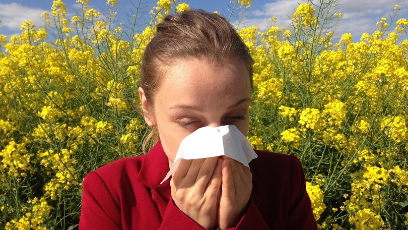 25% of Australians suffering from hay fever should remain wary of the ideal environmental conditions for the upcoming hay fever season.