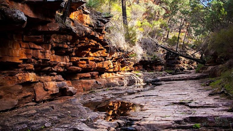 A hiker is missing in Mount Remarkable in South Australia. 