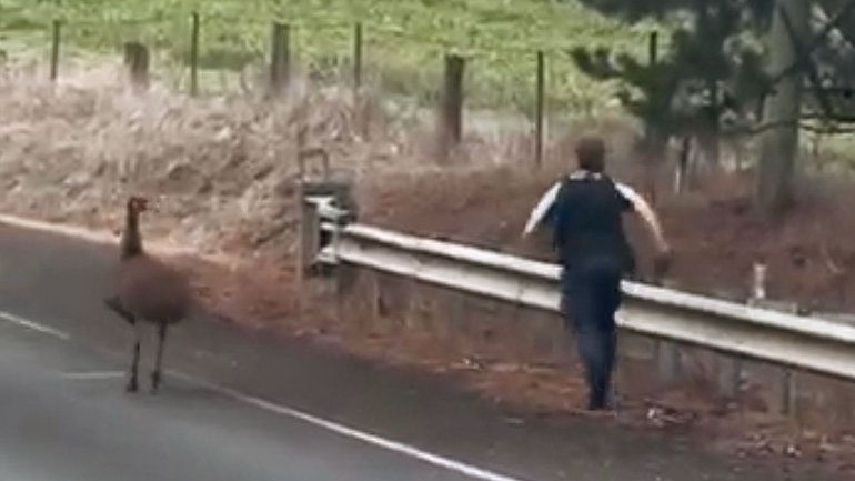 An Australian police officer has become an unlikely viral star after being caught on camera chasing down one of Australia’s fastest fugitives. 