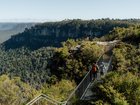Exploring the Blue Mountains on foot.