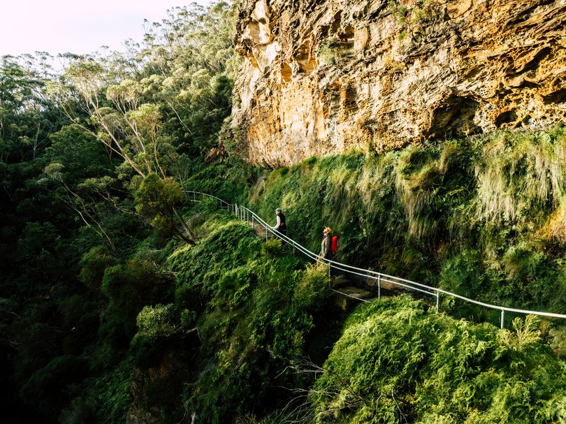 Blue Mountains National Park, NSW