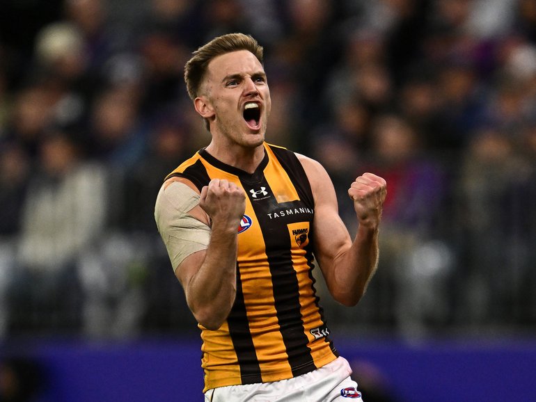The Hawks have beaten the Dockers.