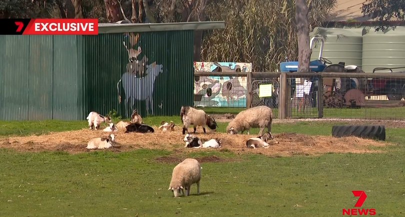 Rain, Hayne and Shine Children’s Farm in Balnarring.