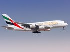 An international flight bound for Sydney has been thrown into chaos after passengers were forced to tied a man to his seat after he allegedly began acting erratically.