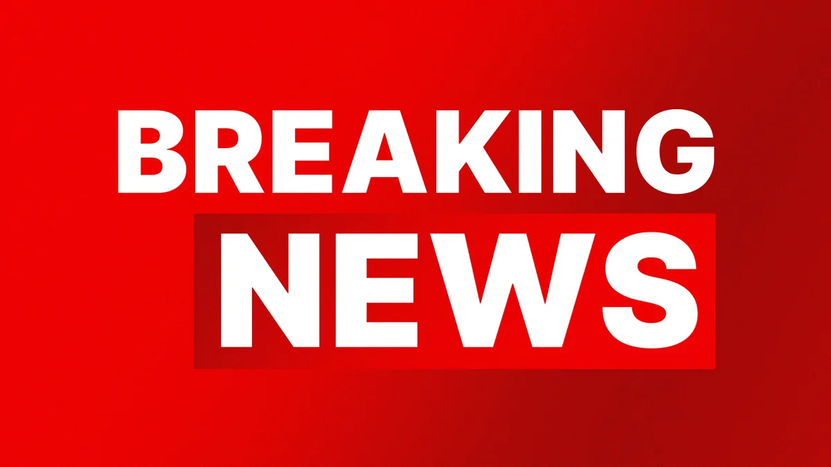 Jumping castle incident: Two children rushed to hospital after inflatable flies into air in Mount Duneed, Vic Jumping castle incident: Two children rushed to hospital after inflatable flies into air in Mount Duneed, Vic