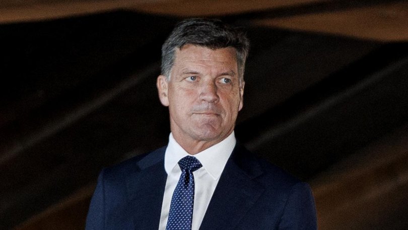 Opposition Leader Angus Taylor wants to criminalise burning the national flag. Picture: NewsWire / Nikki Short
