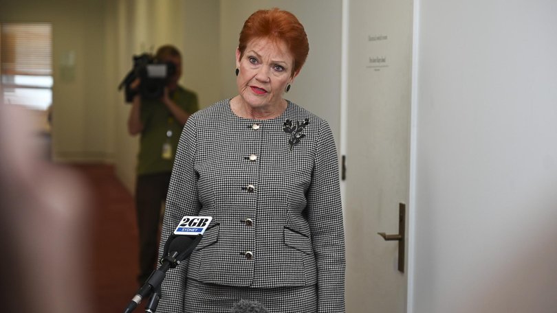 One Nation leader Pauline Hanson has long-called for flag burning to be criminalised. Picture: NewsWire / Martin Ollman