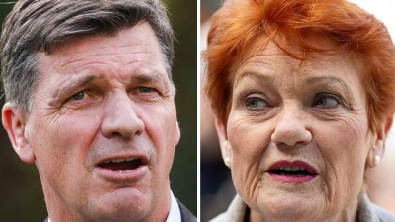 Angus Taylor and Pauline Hanson.