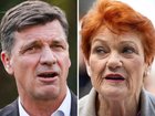 Angus Taylor and Pauline Hanson.