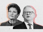 One Nation wants Aussies to access their super early.