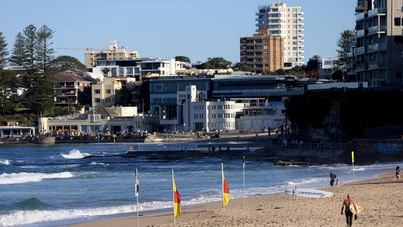 A shark has been spotted near Cronulla Beach. Damian Shaw