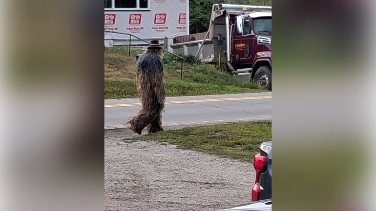 The 'elusive creature' prompted an 'unusually high number of calls' to police.