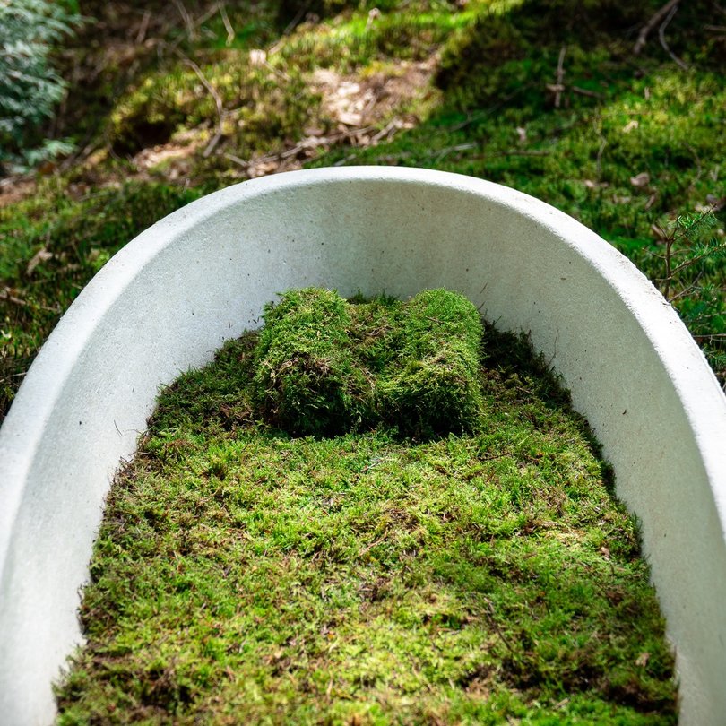 Mushroom coffin.