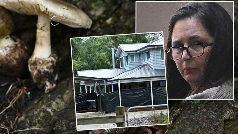 Mushroom killer Erin Patterson has been granted Ozempic behind bars.
