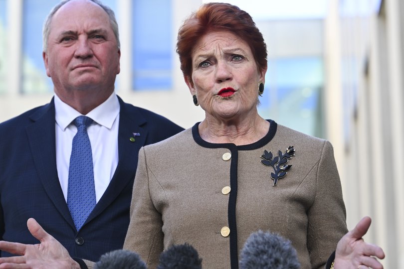 One Nation leader Senator Pauline Hanson and MP Barnaby Joyce during a press conference in the Senate courtyard at Parliament House in Canberra. 