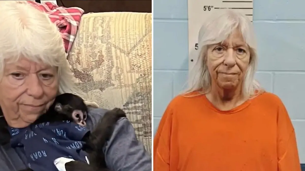 Missouri, USA: Brenda Deutsch allegedly traded a child for a monkey, learns fate in court