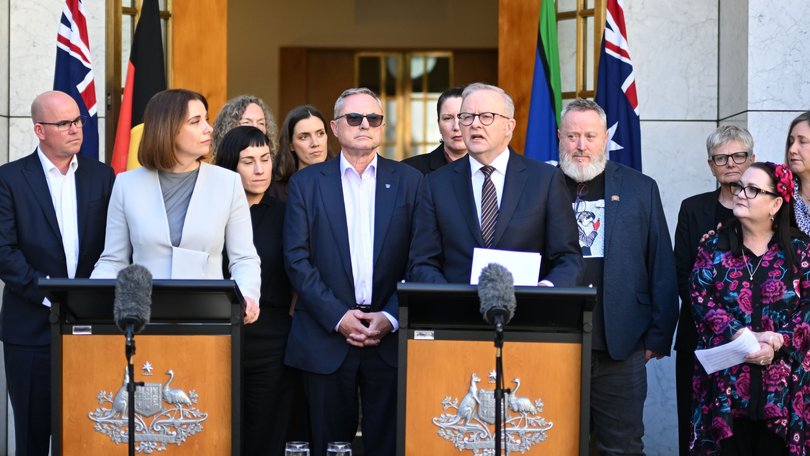Anthony Albanese and Anika Wells detailed the plan at Parliament House.