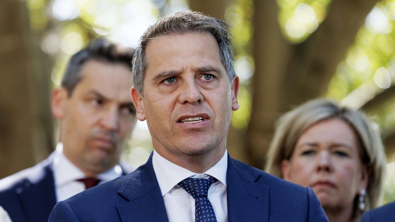 NSW Health Minister Ryan Park said the number of people awaiting support was ‘growing at an unprecedented and unsustainable level’. NewsWire / Nikki Short