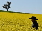 Farmers believe they are being swamped by the impact of climate change due to industrial emissions. 