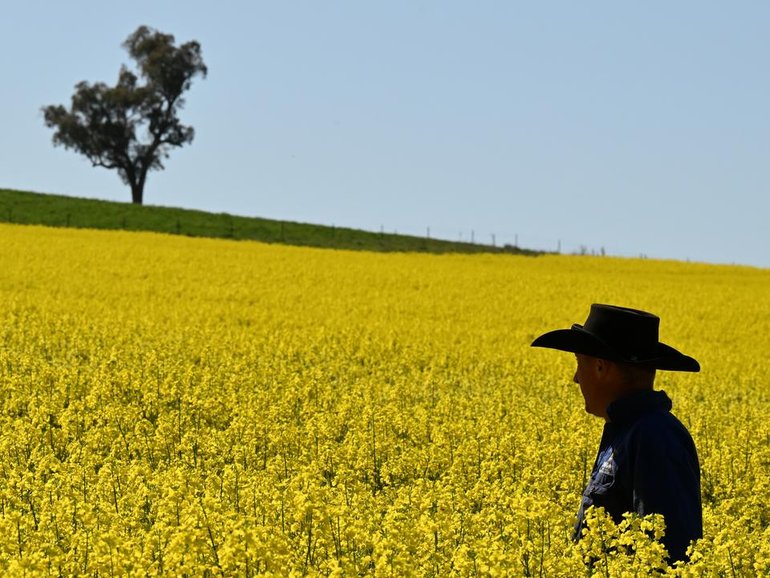 Farmers believe they are being swamped by the impact of climate change due to industrial emissions. 