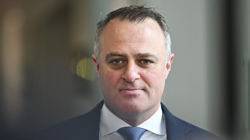 Shadow treasurer Tim Wilson claims he never saw a superannuation plan similar to One Nation’s when Sussan Ley led the Liberal Party.
