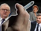 The tobacco levy has drawn conflicting views from Anthony Albanese, Pauline Hanson and Angus Taylor. (Susie Dodds/AAP PHOTOS)
