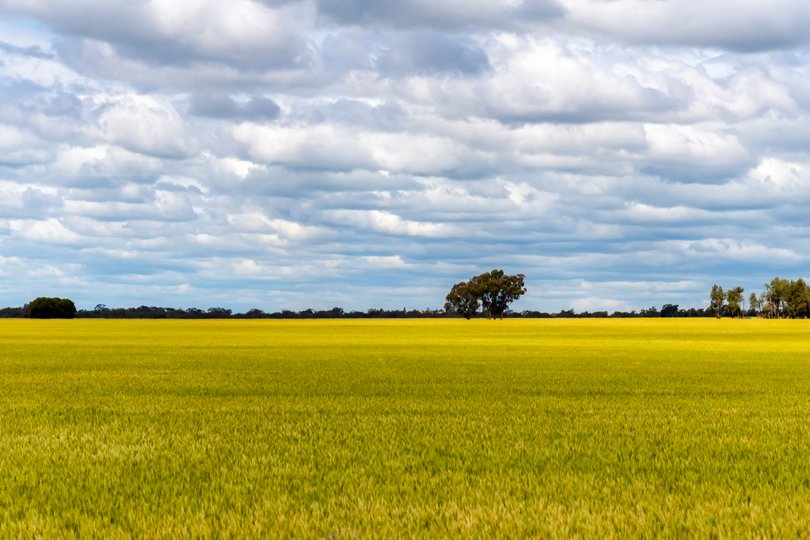 Clouds in the afternoon sky over the green landscape fields near Oaklands in the Riverina, NSW, Australia.